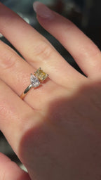 Golden Harmony Toi et Moi Diamond Ring